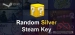 خرید ارزان Steam Random Silver Key - سی دی کی رندوم نقره ای استیم